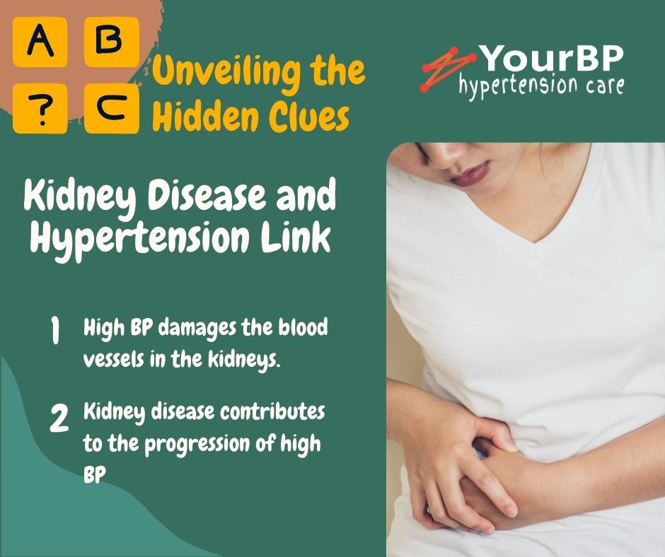 Unveiling the Hidden Clues: Kidney Disease, Hypertension, and Urine Proteins Link