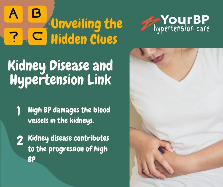 Unveiling the Hidden Clues: Kidney Disease, Hypertension, and Urine Proteins Link Unveiling the Hidden Clues: Kidney Disease, Hypertension, and Urine Proteins Link